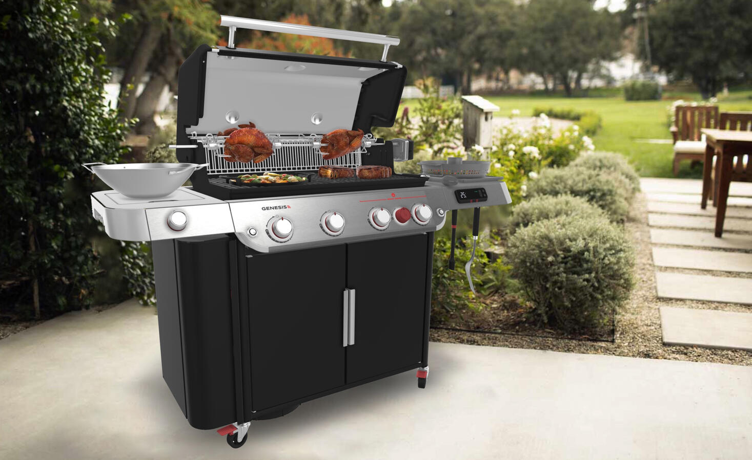 Weber Rendering Montage Garten